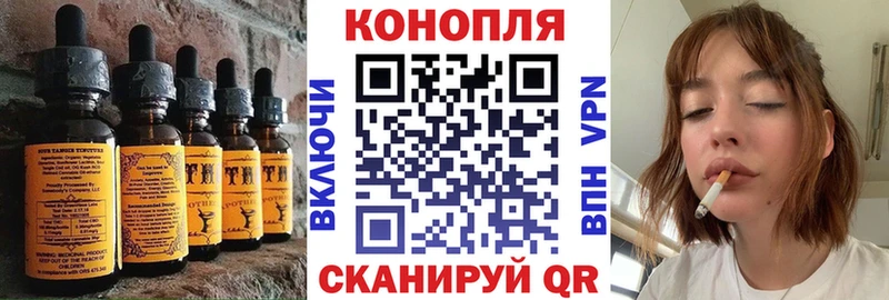 это какой сайт купить цена Камызяк Canna-Cookies марихуана kraken вход