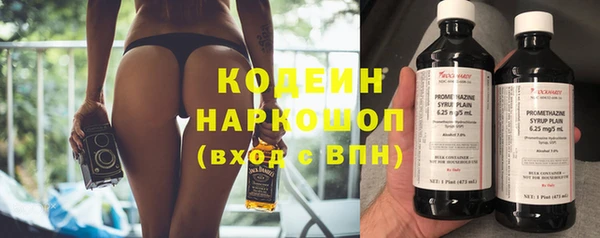амф Бородино