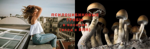амф Бородино