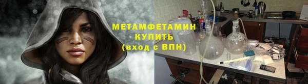 дмт Богданович