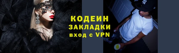 дмт Богданович