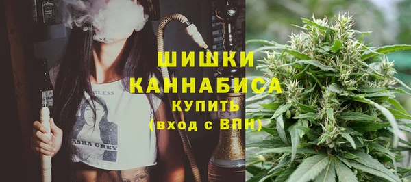амф Богородицк
