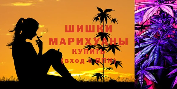 дмт Богданович