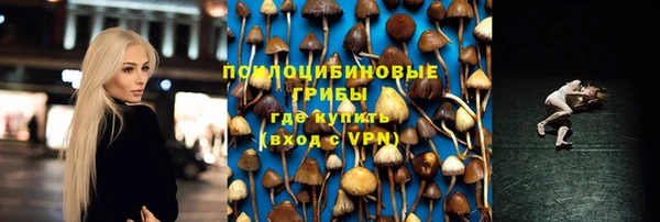 скорость Богородск